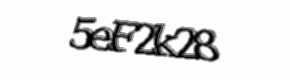 Security check image, please type the characters shown